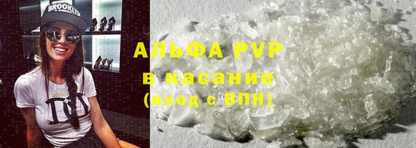 гидра Алексин